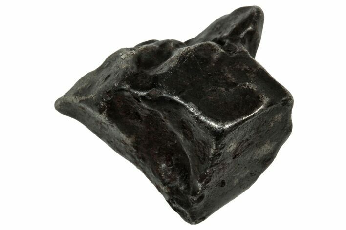 Fusion Crusted Sikhote-Alin Iron Meteorite ( g) - Russia #334525